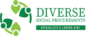 Diverse Solutions